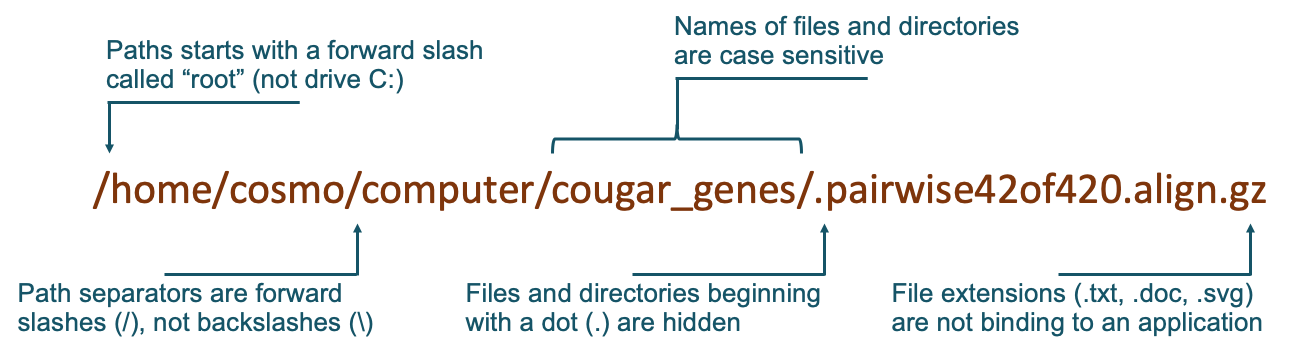 File paths